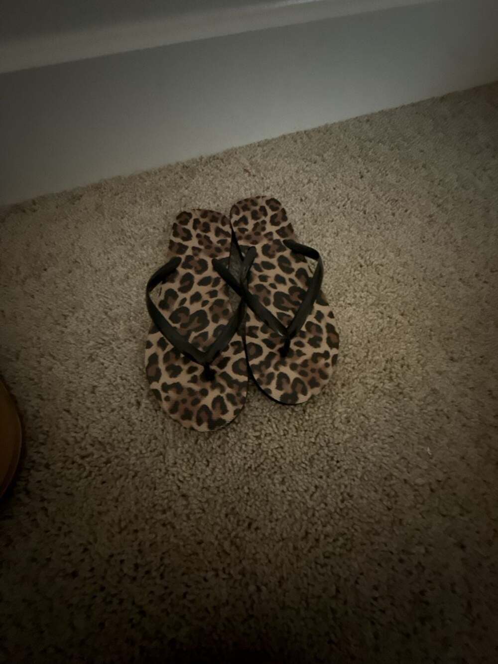 Shade & Shore Women's Sydney Flip Flop Sandals Leopard Print